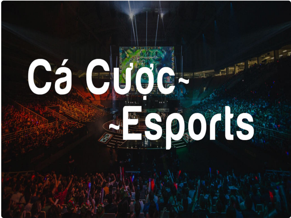 Cá cược thể thao điện tử Esports là gì?