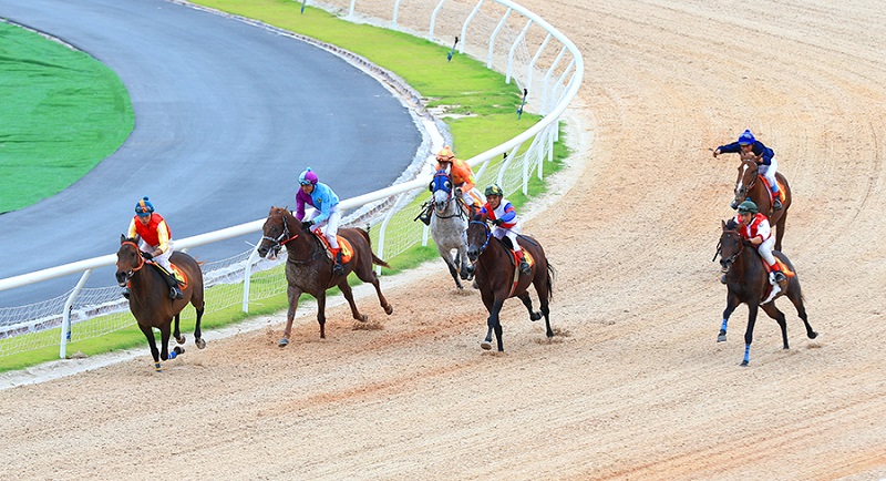 Trả tiền thắng khi cá cược đua ngựa tại May88