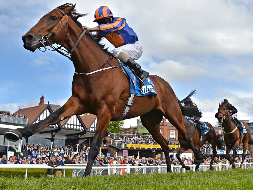 Hướng dẫn chi tiết cách đặt cược đua ngựa