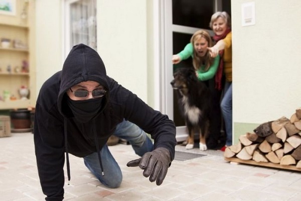 Chiêm bao thấy bản thân bắt được tên trộm