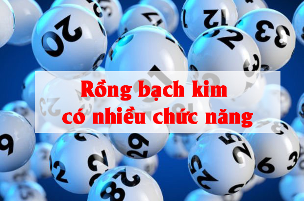 Nên hay không nên soi cầu rồng bạch kim