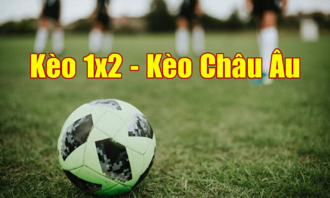 Bí quyết cá cược kèo châu Âu tại nhà cái May88