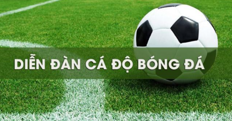 Cùng May88 Club tổng hợp các diễn đàn cá độ bóng đá uy tín