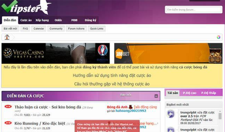 Diễn đàn cá cược uy tín Vtipster
