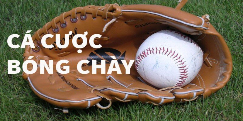 Kinh nghiệm cá cược bóng chày hay từ các cao thủ May88 Vip