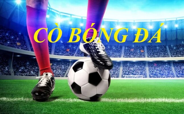 Các yếu tố cần có trong cò bóng đá tại nhà cái May88