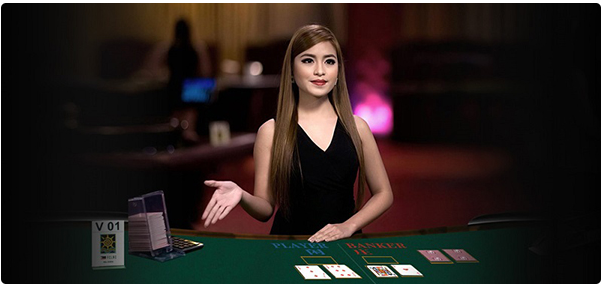 Vì sao nên chọn làm dealer tại nhà cái May88