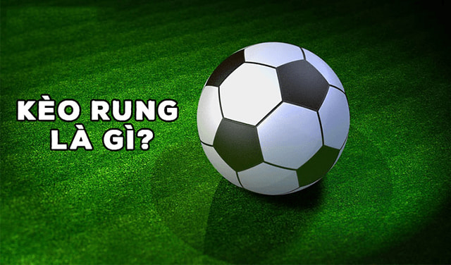 Kinh nghiệm cá cược kèo rung trong bóng đá tại May88