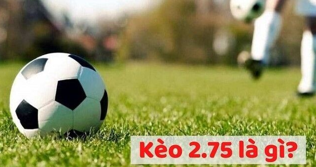 Chia sẻ kinh nghiệm đặt cược kèo 2.75 hiệu quả tại May88 Vip