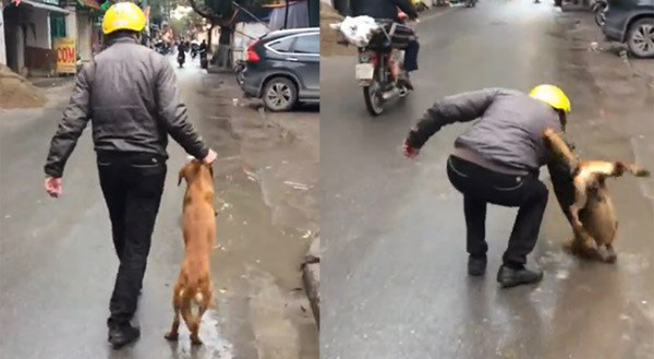 Mộng thấy người khác đánh động vậtMộng thấy người khác đánh động vật